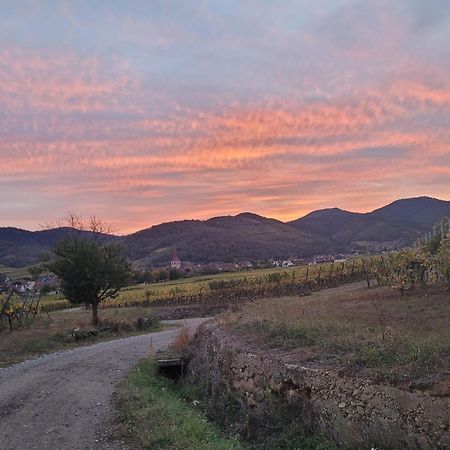 Naova Cosy Studio Kaysersberg-Vignoble Exterior foto