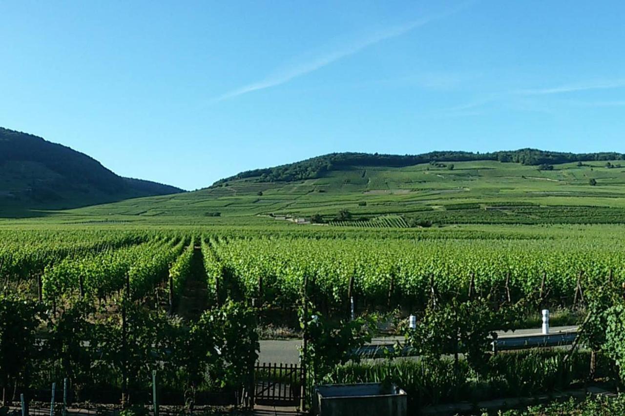 Naova Cosy Studio Kaysersberg-Vignoble Exterior foto